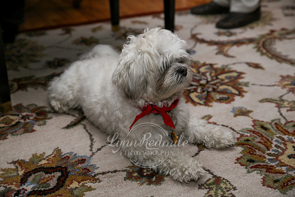 Christmas 2013 24