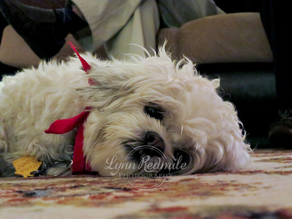 Christmas 2013 38