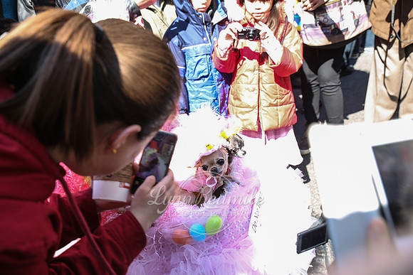 Easter Parade 2015 012
