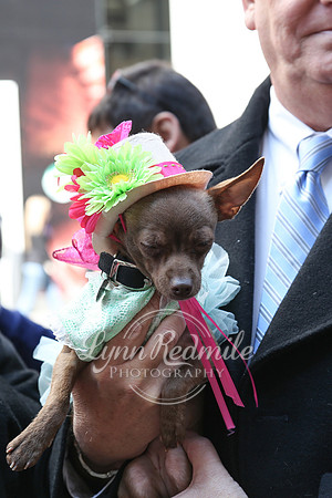 Easter Parade 2015 079