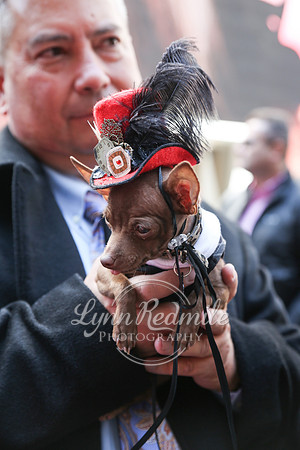 Easter Parade 2015 080