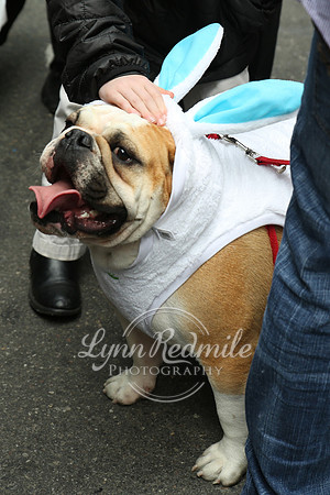 Easter Parade 2015 109
