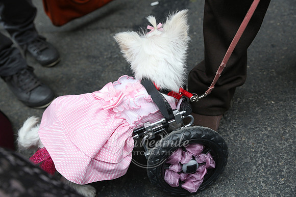 Easter Parade 2015 112