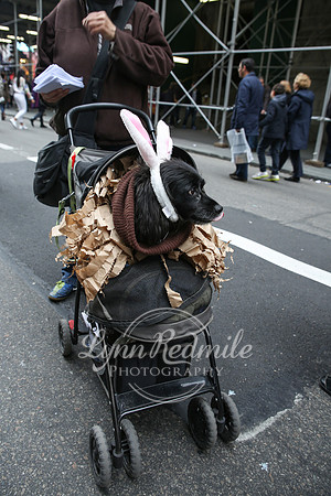Easter Parade 2015 114