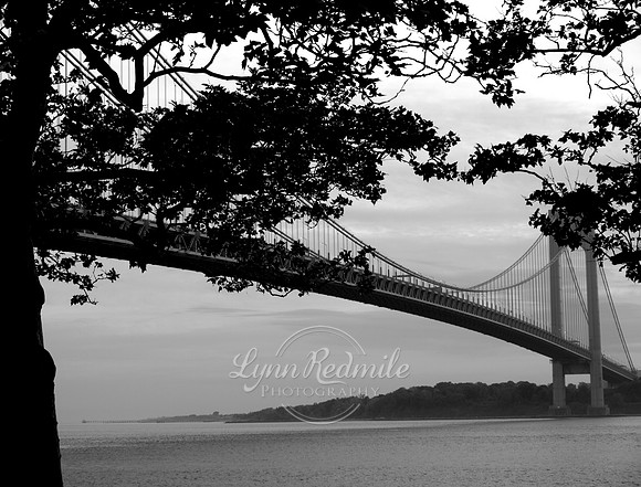 Verrazano Narrows Bridge