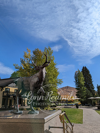 SunValley2022 -2