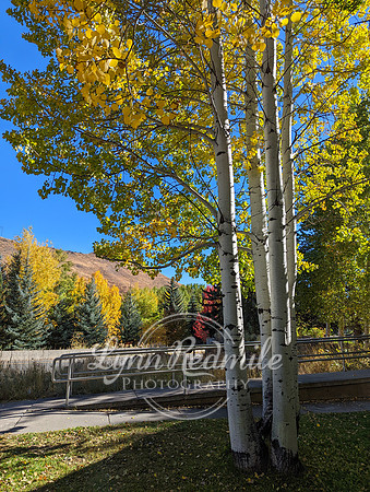 SunValley2022 -10