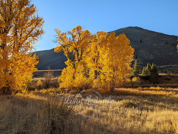 SunValley2022 -250