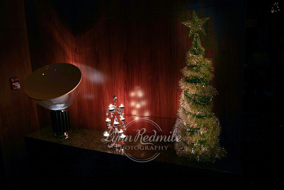 Winter Ball 2012 01