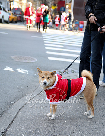Santacon NYC 201