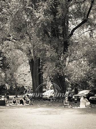 Jazz Age Delaware 042