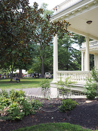 Jazz Age Delaware 126