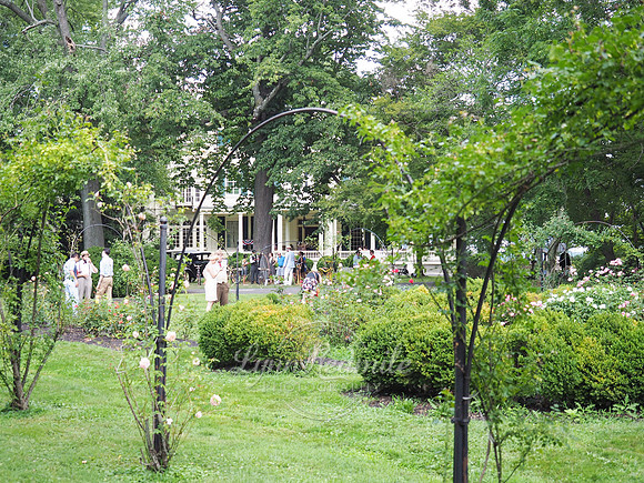 Jazz Age Delaware 195