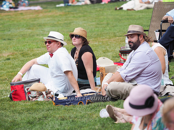 Jazz Age Delaware 208