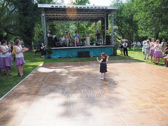 Jazz Age Delaware 216