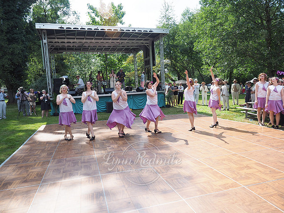 Jazz Age Delaware 217