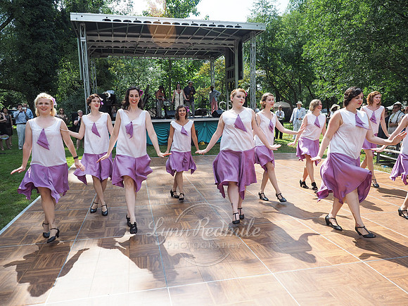 Jazz Age Delaware 219