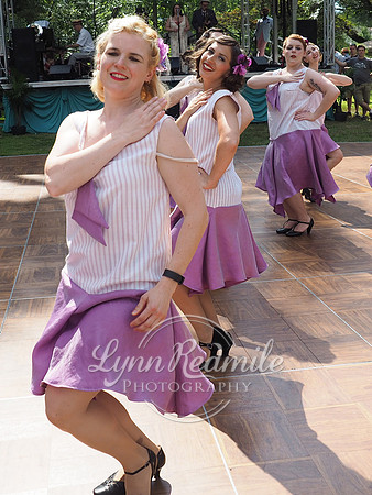 Jazz Age Delaware 220