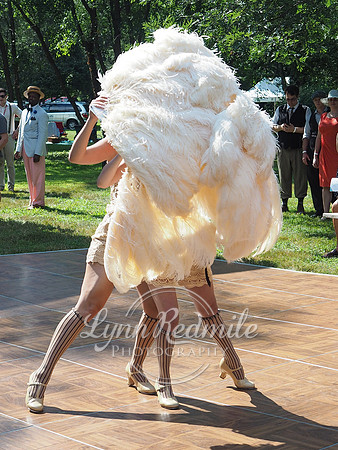 Jazz Age Delaware 241