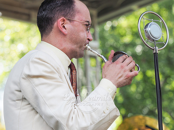 Jazz Age Delaware 255