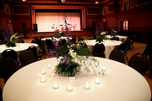 ADSVA Ball 022