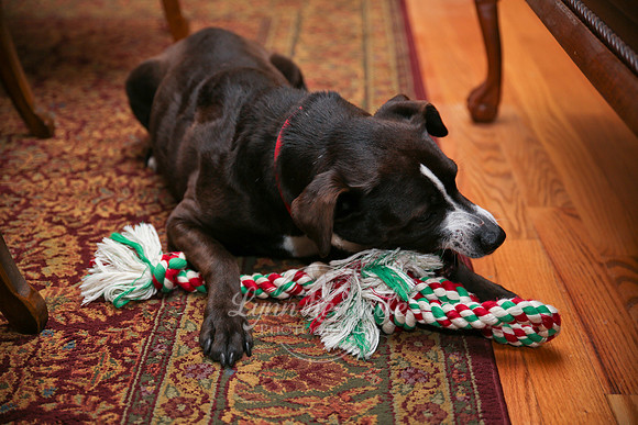 Tobias Christmas Eve 18