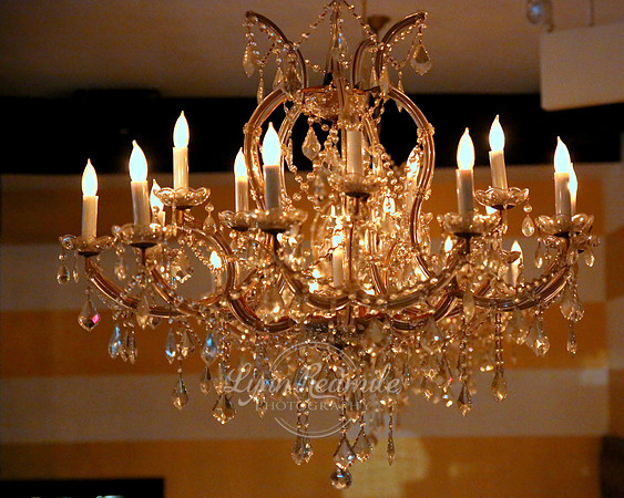Salon Mardi Gras 60