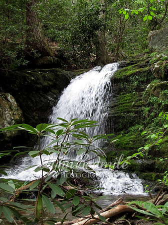 Delaware Gap Waterfall