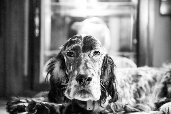 Joe & Ginny 01