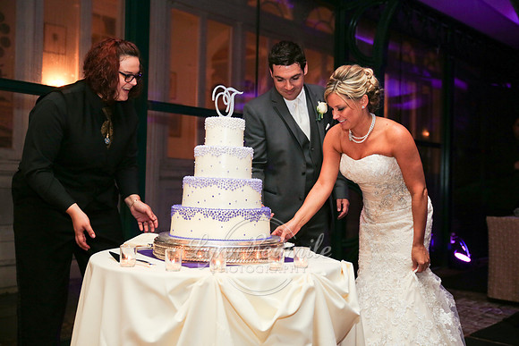 Cassie Joe Wedding 154