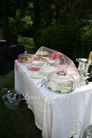 Art Deco Picnic 109