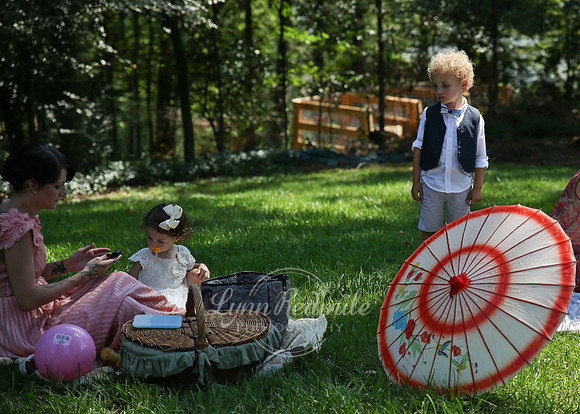 Art Deco Picnic 278