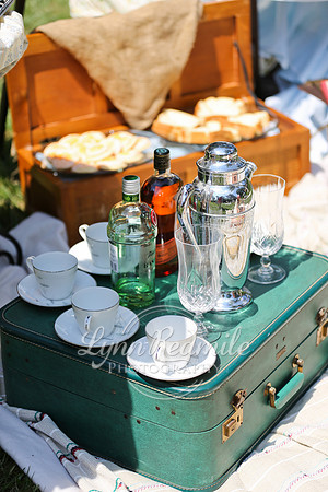 Art Deco Picnic 164