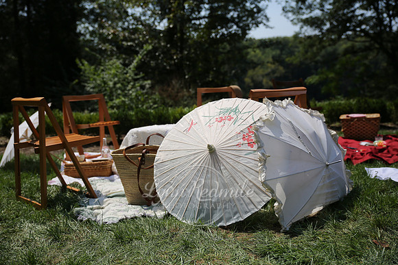 Art Deco Picnic 118
