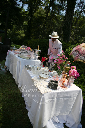 Art Deco Picnic 108