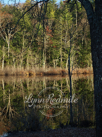 Reflections