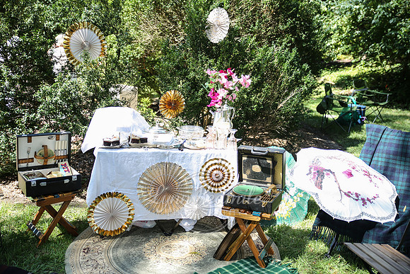 ADSVA 2017 Picnic 035