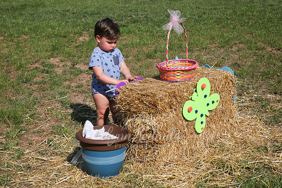 Egg Hunt and BBQ 10
