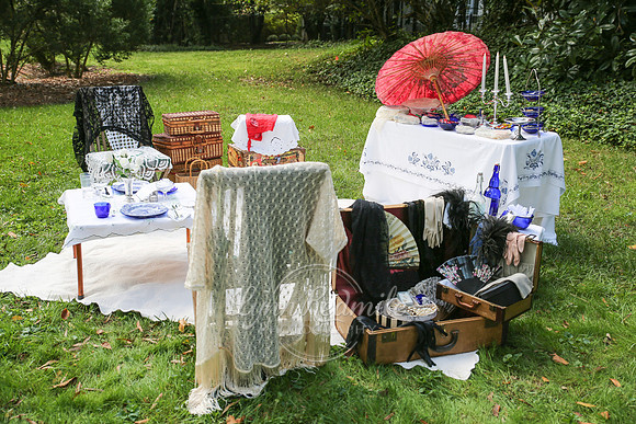 ADSVA 2018 Picnic 075