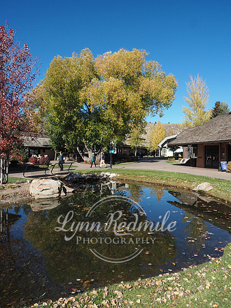 Sun Valley 2018 Music Festival 024