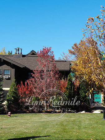 Sun Valley 2018 Music Festival 068