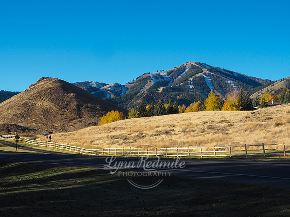 Sun Valley 2018 Music Festival 086