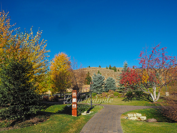 Sun Valley 2018 Music Festival 088