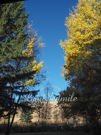 Sun Valley 2018 Music Festival 203