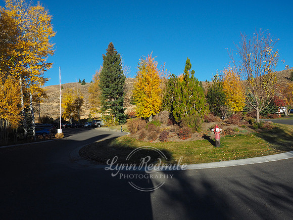 Sun Valley 2018 Music Festival 205