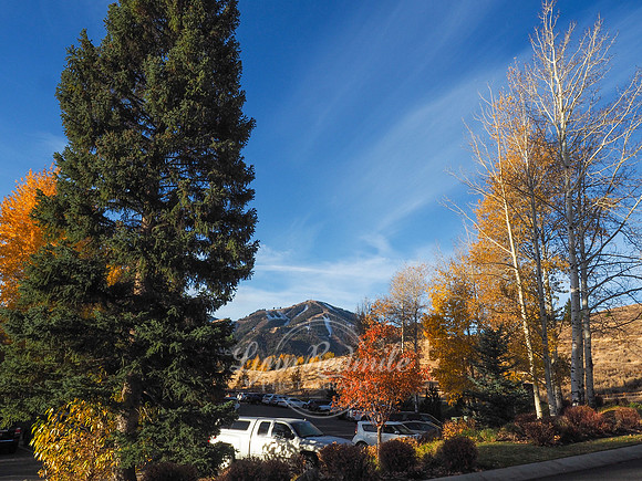 Sun Valley 2018 Music Festival 325