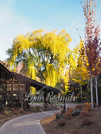 Sun Valley 2018 Music Festival 329