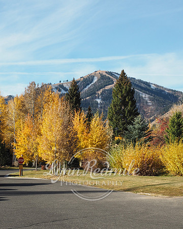 Sun Valley 2018 Music Festival 331