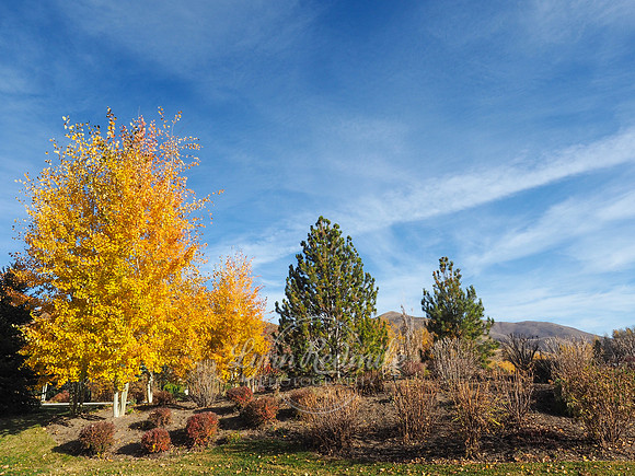 Sun Valley 2018 Music Festival 332