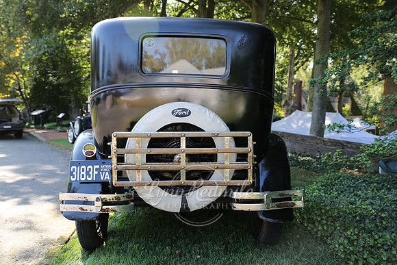 ADSVA 2019 Picnic 004